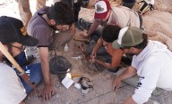 Más ciencia en vivo: arranca el streaming de la campaña paleontológica en la Patagonia argentina