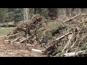 What Grand Canyon's North Rim looks like now after historically destructive wildfires