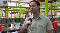 El Sotabanco de Alimentos de Houston averiguación ayuda mientras los beneficios de SNAP enfrentan riesgos