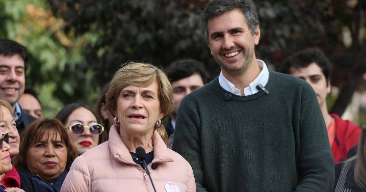 “Atorrantes”: jefe de campaña de Matthei abre pugna con el gobierno y encuentra respaldo de la candidata