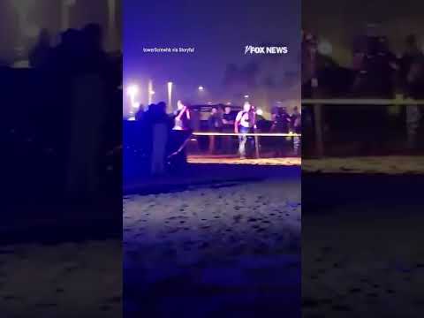 CLOSE CALL: Plane makes emergency landing on California beach  #shorts  #foxnews #news #us