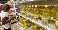 Which vegetable oil is the healthiest? Researchers says we’re asking the wrong question