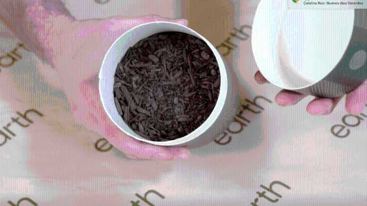 Compostaje humano: la conversión de restos humanos a tierra fértil al morir