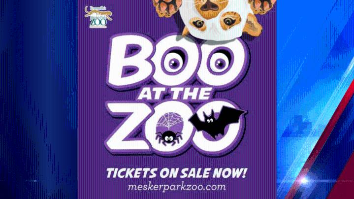 Families enjoy spooky fun at Boo at the Zoo