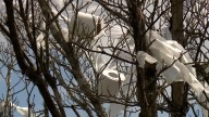 Feel Good Friday: The War of Toilet Paper in Alabama