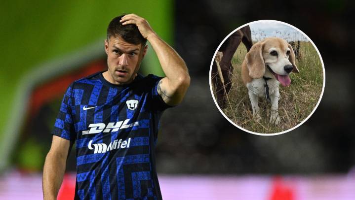 Aaron Ramsey anuncia que se perdió su perrito; ofrecen recompensa