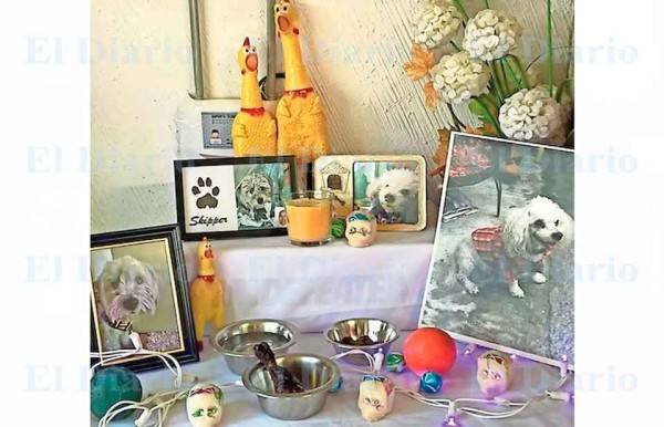 Dedican altar a las mascotitas