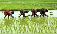 PM-KISAN 21st instalment update: What to expect for farmers across India