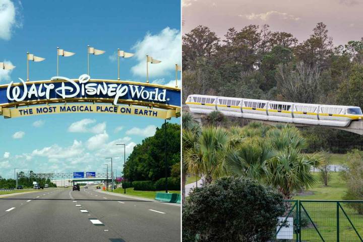 Disney World Guest Was 'Missing' Before Suicide, Reddit User Said