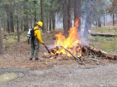 Pile Burning Starting Today on Plumas National Forest
