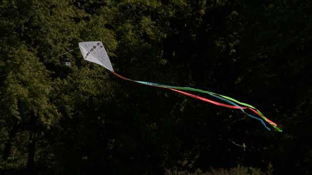 Louisville's Jewish community commemorates Oct. 7, 2023 attack in Israel with Kites of Hope