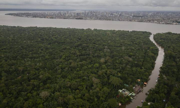 La deforestación en la Amazonía brasileña cae un 11,08 % en el último año