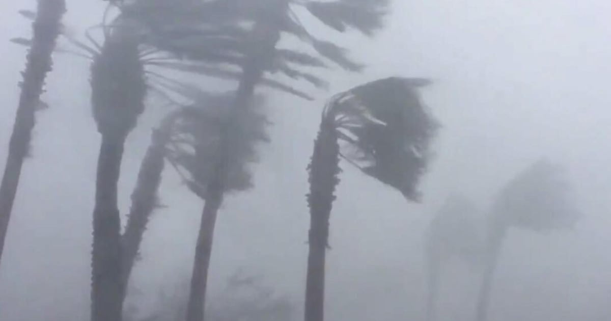 Por dónde pasará la tormenta tropical Melissa, el fenómeno que se convertirá en un huracán de gran intensidad