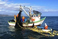 La tragedia de los comunes y la pesca artesanal en el Perú
