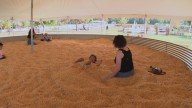 Ferguson's Minnesota Harvest offers fall traditions