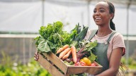 These Are The Top U.S. States For Happy, Healthy Gardening