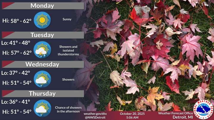 Michigan's work week expected to be cold and rainy. See forecast