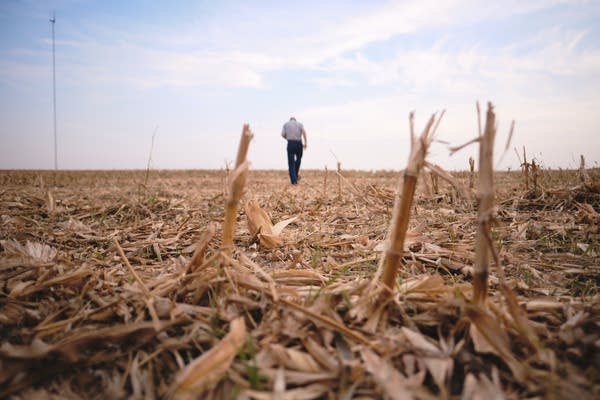 Ag loan defaults are up, aid programs also strained