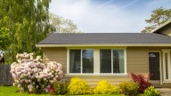 The Most Impressive, Underrated Tree You Should Be Planting In Your Yard