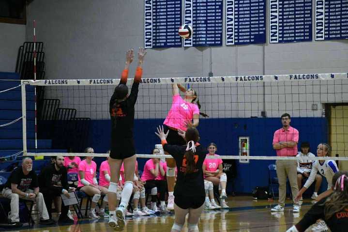 Brynlee Holland selected as PennLive girls volleyball Player of the Week for Sept. 29