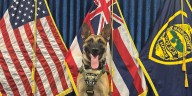 Maui Police Department’s new K9 makes first arrest