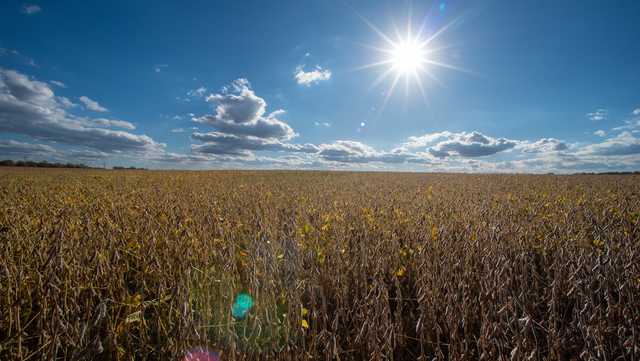 Senate challenges Trump tariffs as China trade deal announced