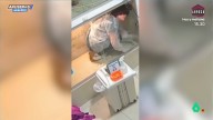 Una veterinaria se queda encerrada en una jaula mientras la está limpiando: este es el vídeo del cómico momento