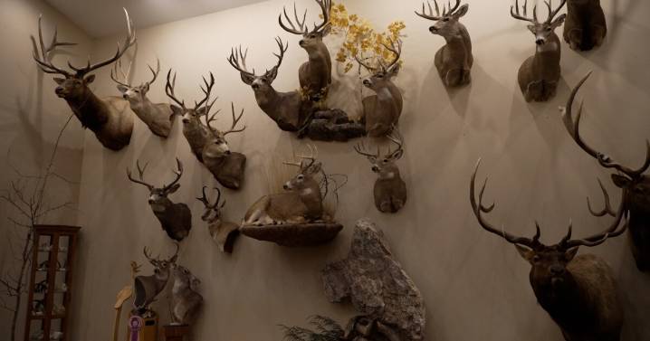 Artistry and attention to detail bring hunting memories to life