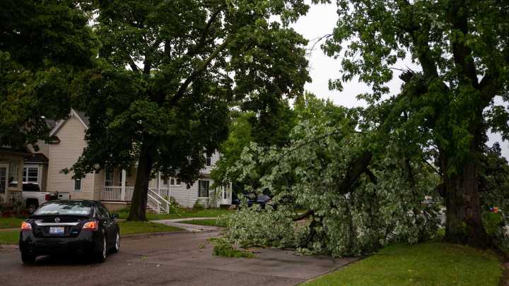 Calhoun County weather forecast Tuesday calls for a couple of afternoon storms
