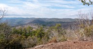 Foothills Conservancy adds ﻿trails program coordinator to expand, maintain public trails