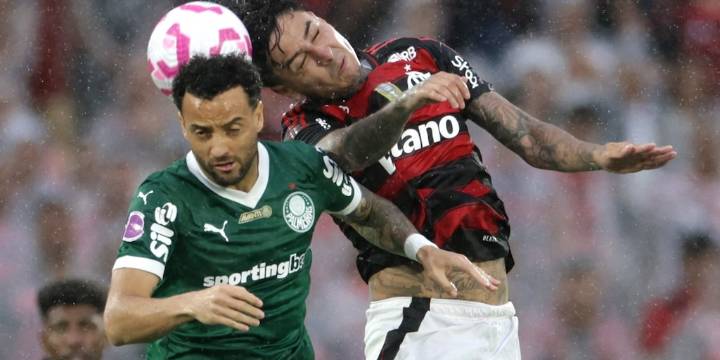 Palmeiras y Flamengo jugarán la final de la Copa Libertadores: este será el colombiano que buscará el título