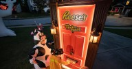 Buddy the Elf loves candy corn. Do you?