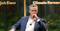 Newsom Threatens to Withhold Billions from Colleges Signing 'Compact'