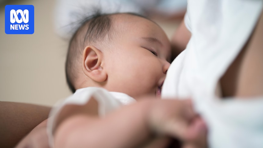 Having children and breastfeeding reduces breast cancer risk by triggering immune system, study finds