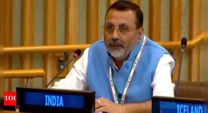 'Worst violator': India slams 'highly hypocritical' Pakistan at UN; calls out killings in Afghanistan