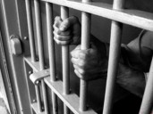 Economic Offender Arrested After 4