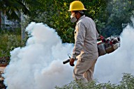 Por lluvias atípicas, se disminuyó el abasto de insecticidas contra el dengue en BCS: Salud 