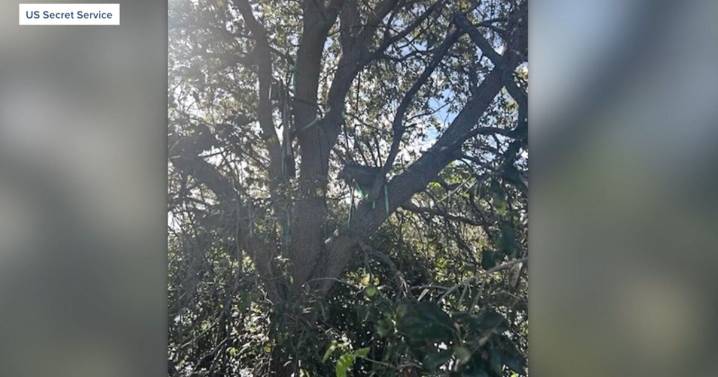 'Hunting stand' with direct view of Air Force One sparks federal probe in Florida
