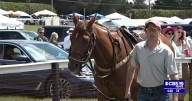 Foxfield prepares for annual fall races
