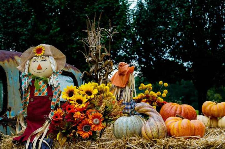 Fun Things to Do with the Kids This Weekend in Queens