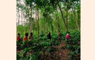PM Modi praises Koraput Coffee: Odisha Guv, CM hail recognition as major boost for local farmers