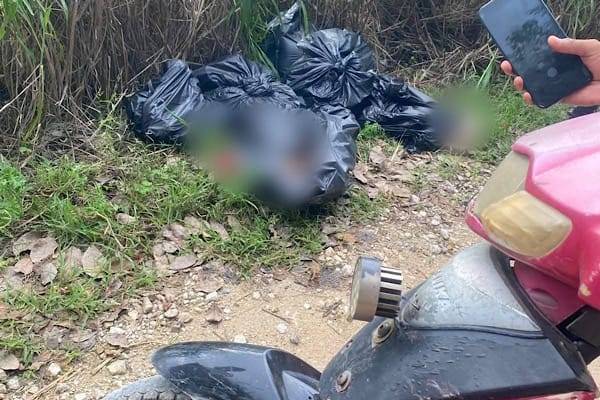 El caso de los descuartizados no fue el norte del Cauca, sino Cunduacán, México