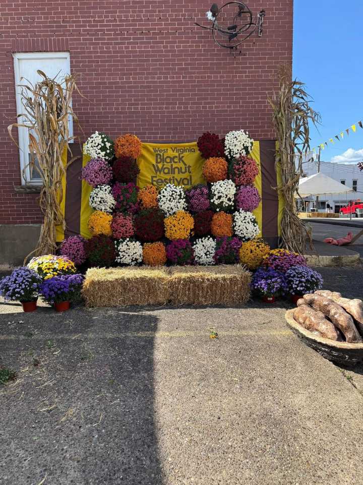 Black Walnut Festival underway in Spencer