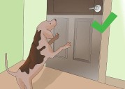 ¿Cómo proteger las puertas de los arañazos de perro?