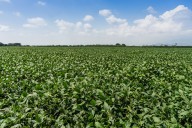 Colombia compra más alimentos