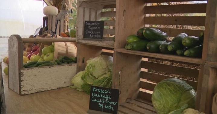 Tenn. farmer pays it forward with free food for families losing SNAP benefits