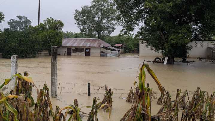 Al menos 29 muertos y varios desaparecidos por las fuertes lluvias que han azotado México