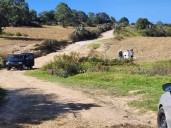 Inseguridad crece en Tlaxcala