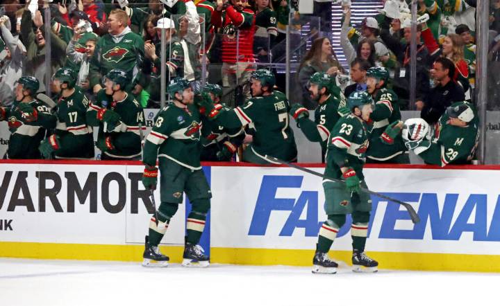 Summer Synopsis: Minnesota Wild