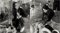 Saiyaara Star Aneet Padda Visits Animal Shelter, Shares Pics From Her Day With Rescued Strays